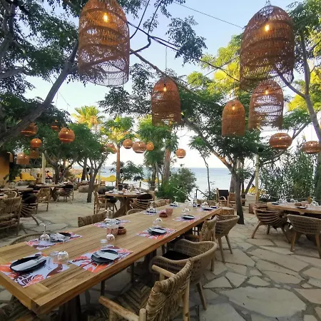 호텔 Tsokkos Gardens 4*